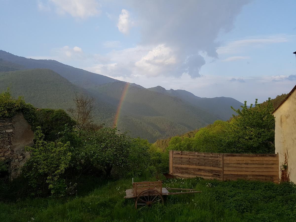 MarsatDomaine Des Massols住宿加早餐旅馆 外观 照片